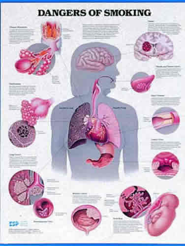 Dangers Of Smoking Chart
