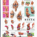 Knee Injuries Chart