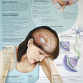 Understanding Depression