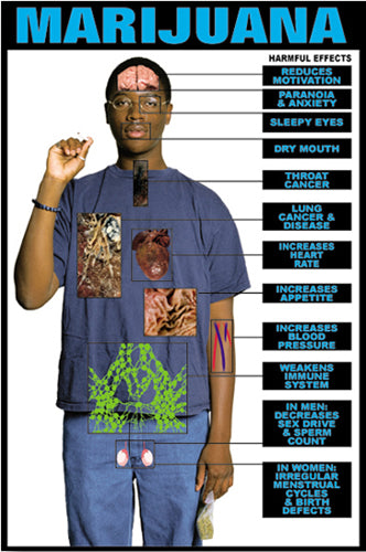 Harmful Effects Marijuana Chart