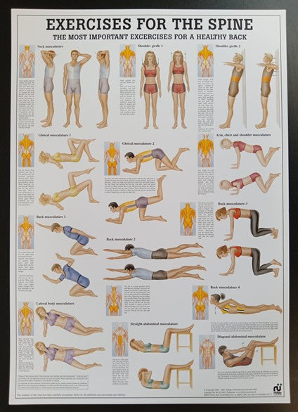 Exercises for the Spine Chart