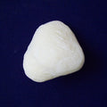 Patella