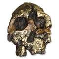 Kenyanthropus