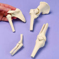 Miniature Joints, Set Of 4