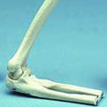 Elbow Joint Movable