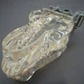 Transparent Canine Jaw, Life-Size