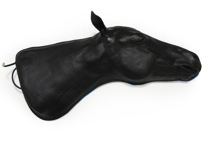 Equine Simulator 1.0