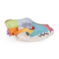 Dog Skull with Didactic Painting