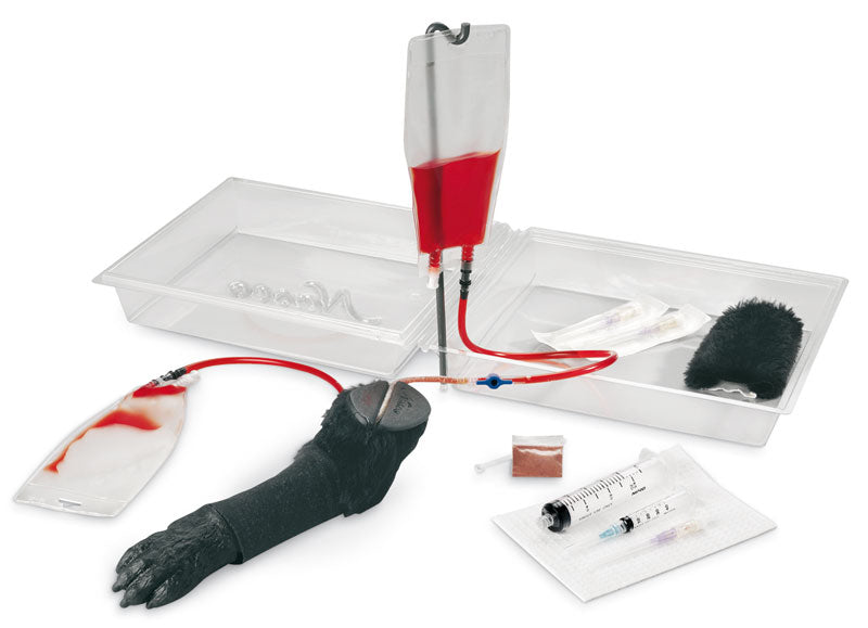 Canine I.V. Leg