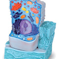Animal Cell Model