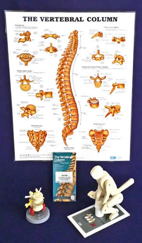 Manual Handling Kit - Basic