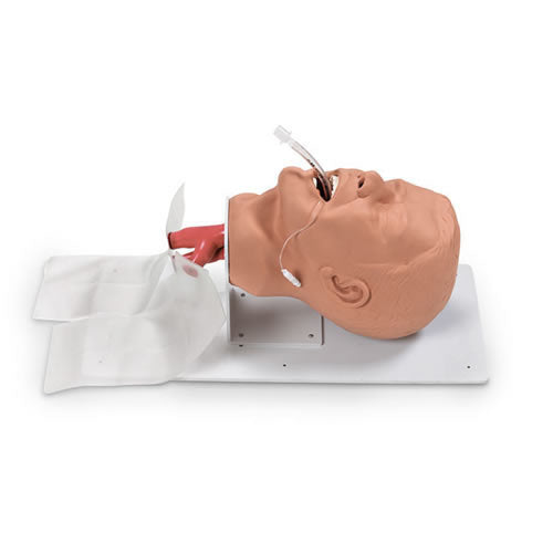 Airway Management Trainer Adult Economy