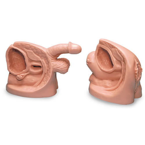 Male & Female Catheterisation Set