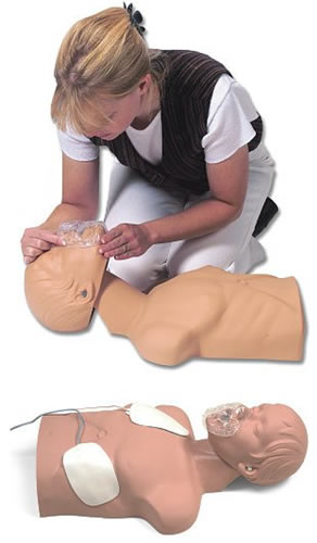 Sani-Manikin Adult Economy